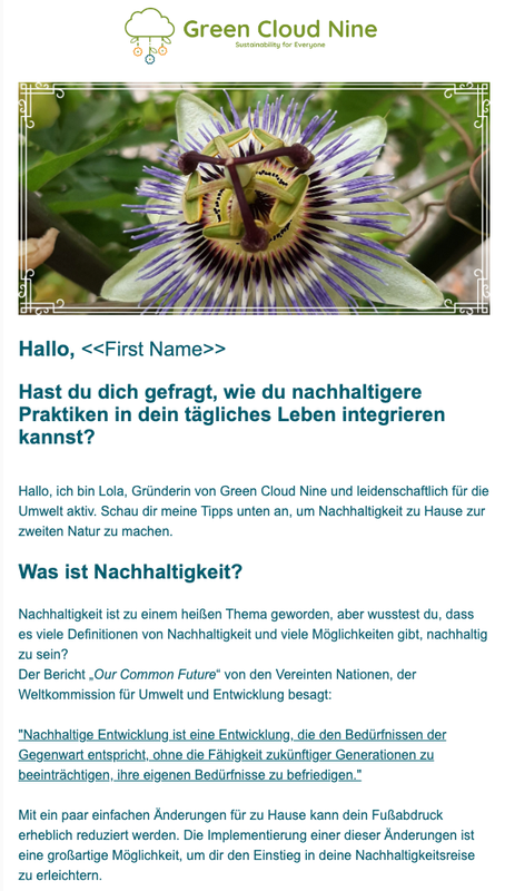 Email marketing campaign example